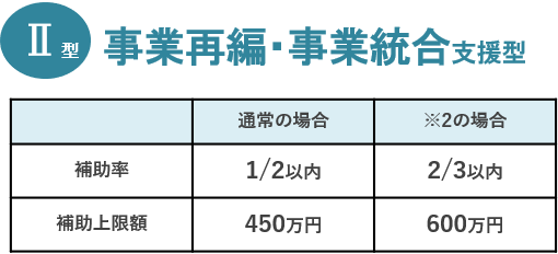 Ⅱ型　事業再編・事業統合支援型